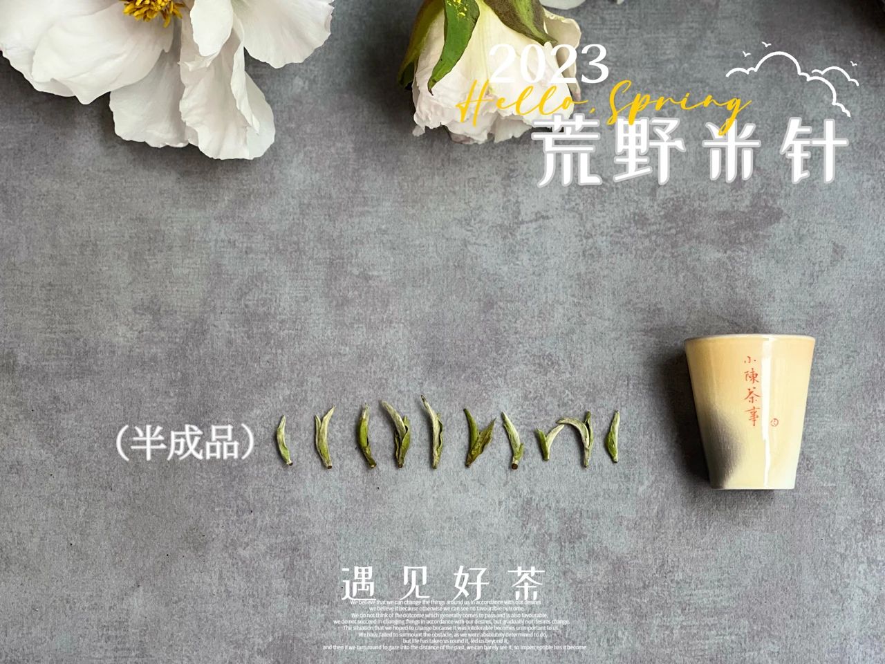 选购白毫银针只需看这5点,好的白毫银针质量鉴别