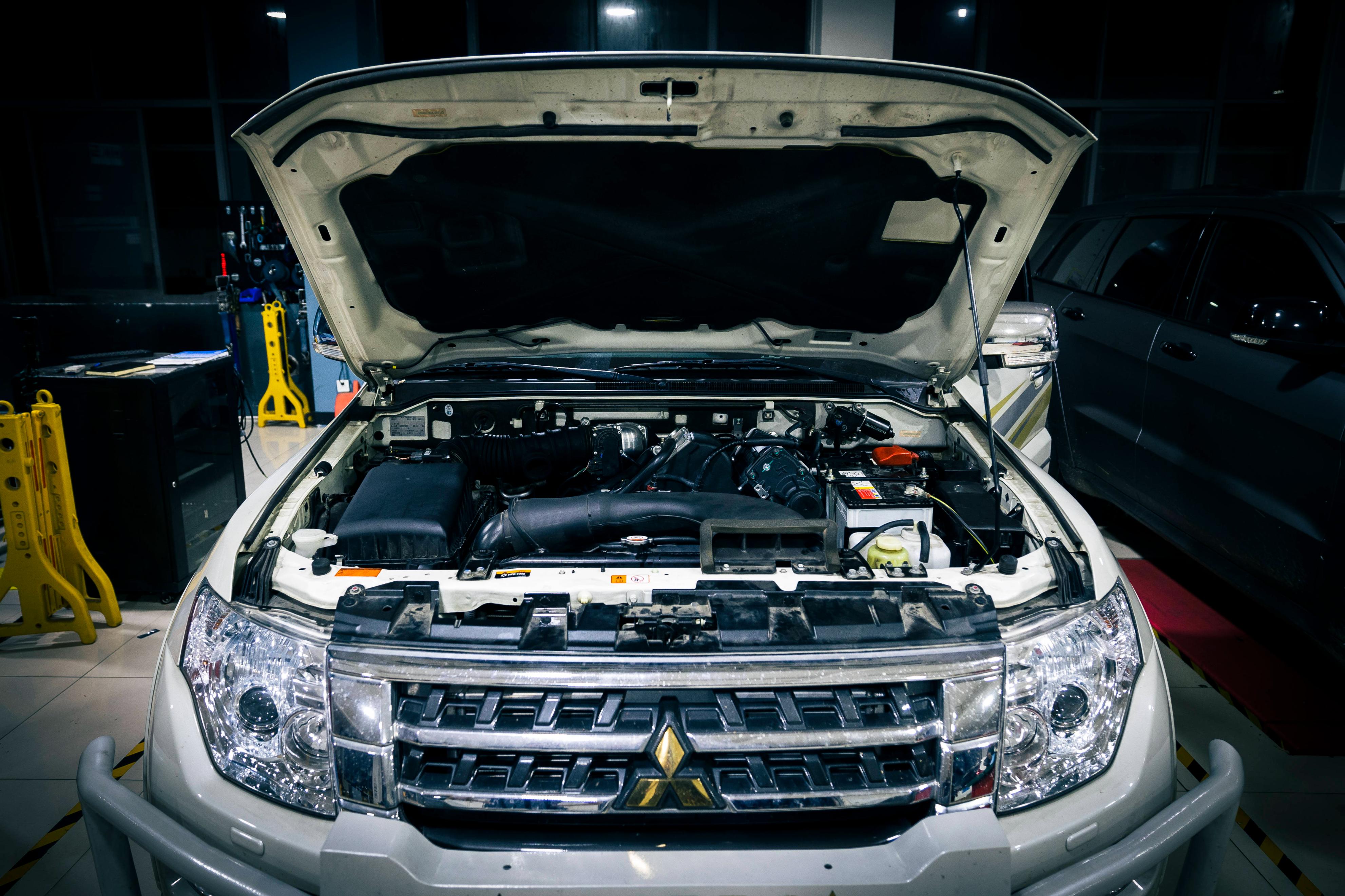 瑕疵山猫帕杰罗,山猫帕杰罗骨子里的傲气