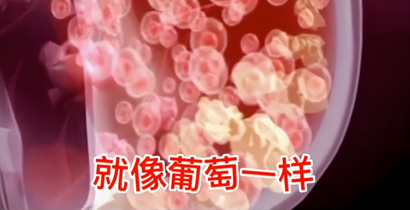 女子做胸部按摩护理,胸部按摩出血