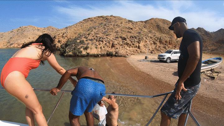 中国小伙的航海日记,44:遭遇海上马蜂袭击,亲妈都不认识我了