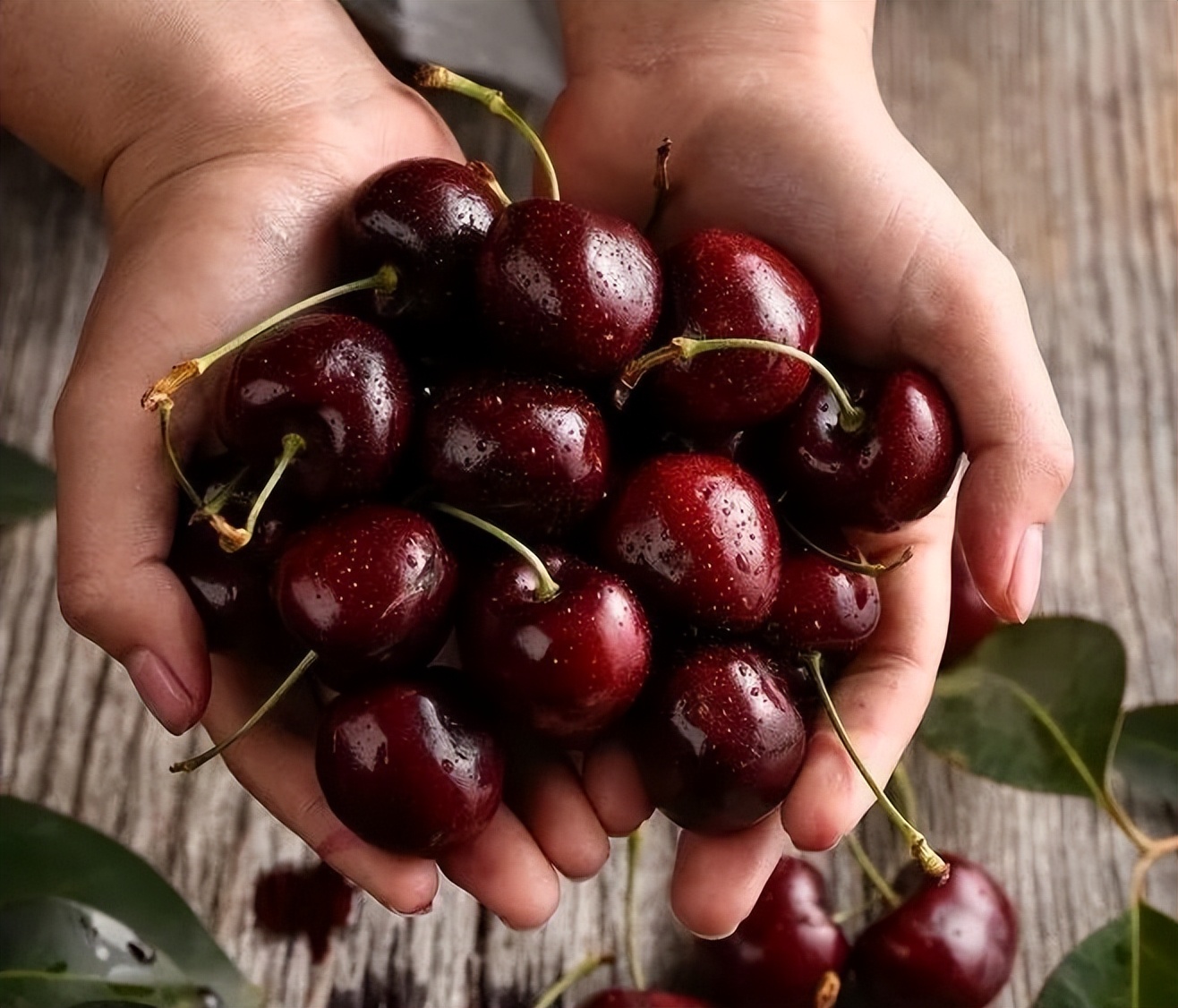 国内种的樱桃为啥不如车厘子好吃,车厘子大樱桃喜欢吃就自己种一棵