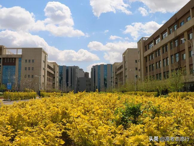 辽宁四大医学院校排名,辽宁省医学类院校都有哪些