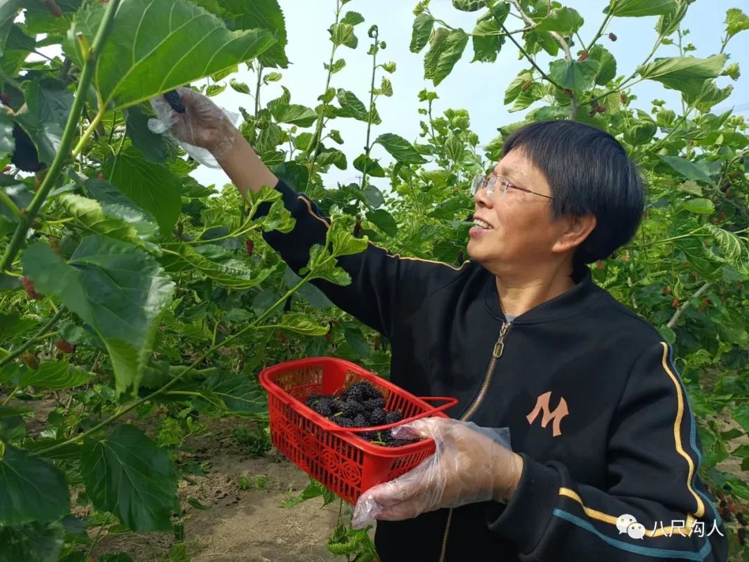 我的老伴,我的老伴男声版