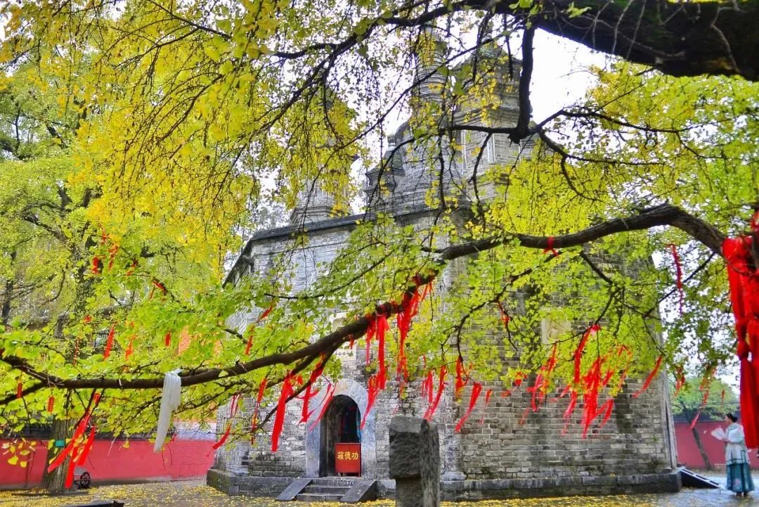 江湖文化城自由行热门攻略,江湖行游玩攻略