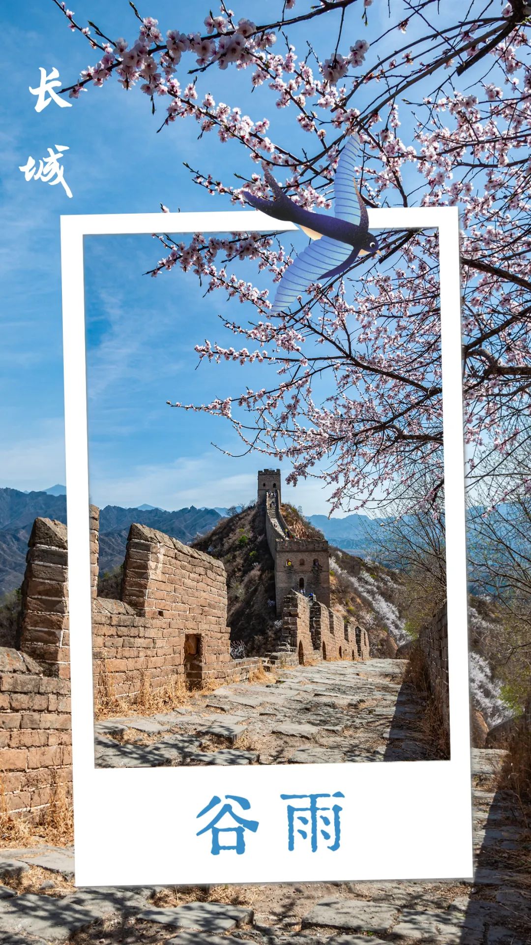 鏄ユ湯澶忓垵闆ㄧ敓鐧捐胺,璋烽洦鏄ユ湯澶忓垵闆ㄧ敓鐧捐胺