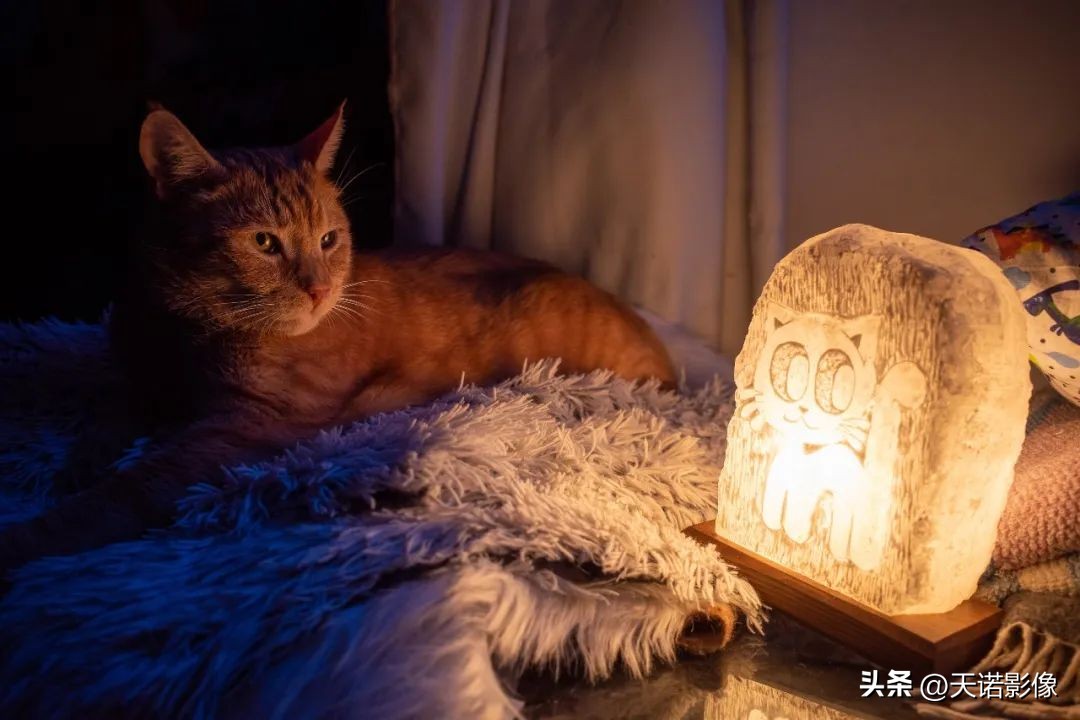 类似理光gr3x相机推荐,理光gr3明星同款