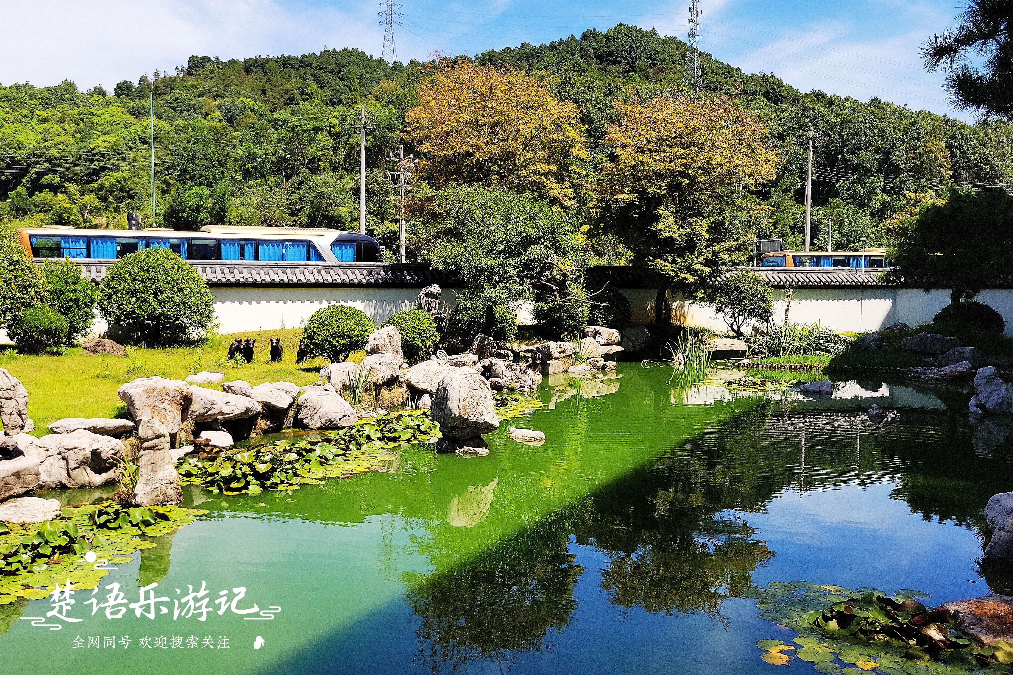 宁海这里成为热门景点，据说可以“假装在京都”，真实情况如何？