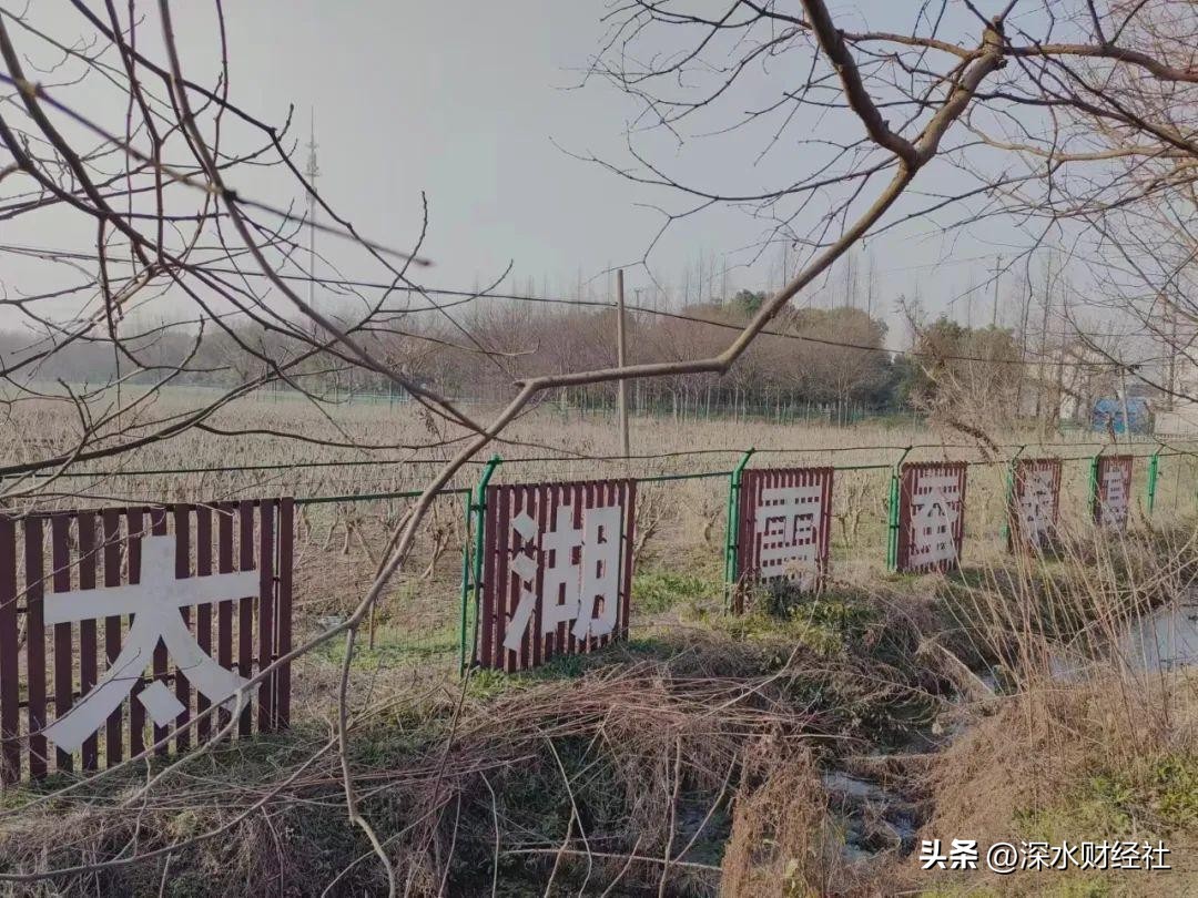 太湖雪蚕丝被生产厂在哪里,太湖雪蚕丝被是哪个公司