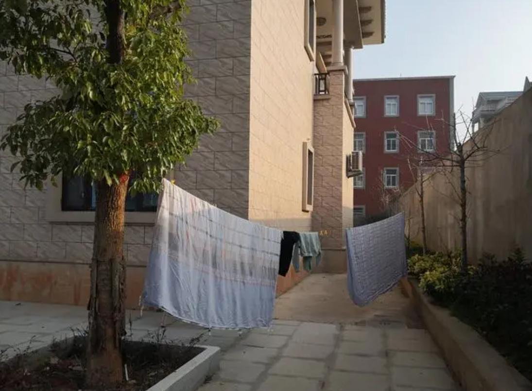 大年初几化解太岁,正月初九安奉太岁用什么供品