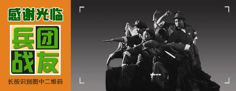 传奇故事两只野生鸟,传奇故事一只鸟