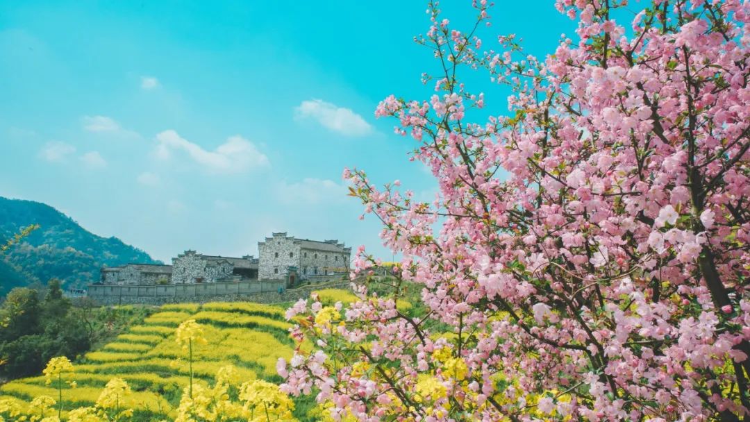 清明10首诗歌,清明小诗10句