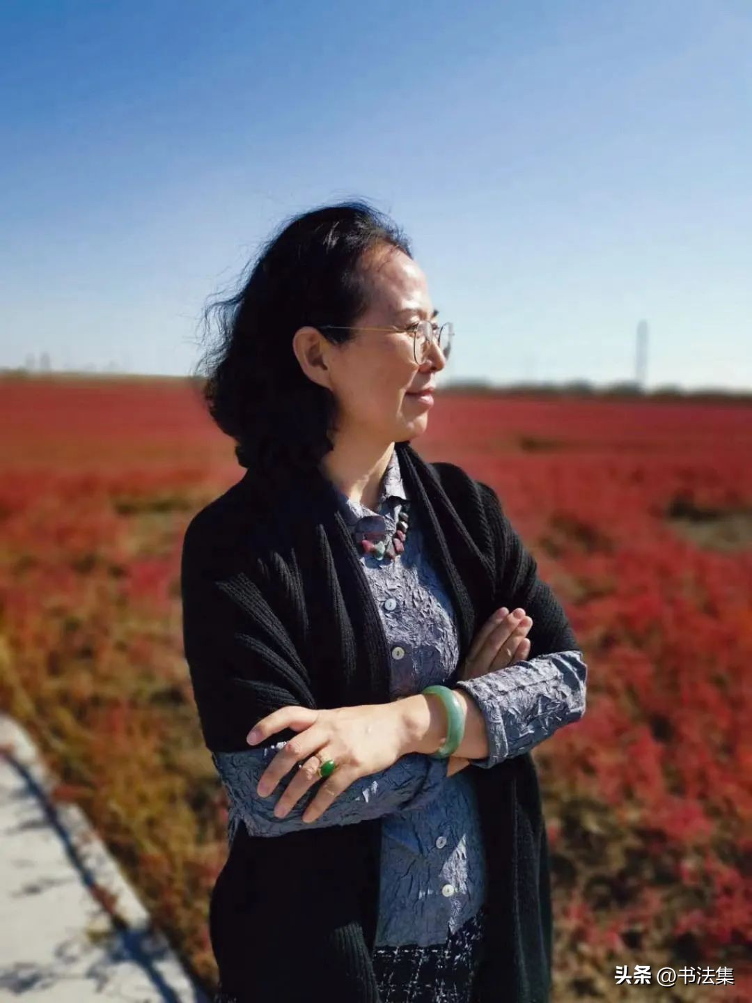 百卉争春——中国书协第八届女书家委员会委员作品选刊