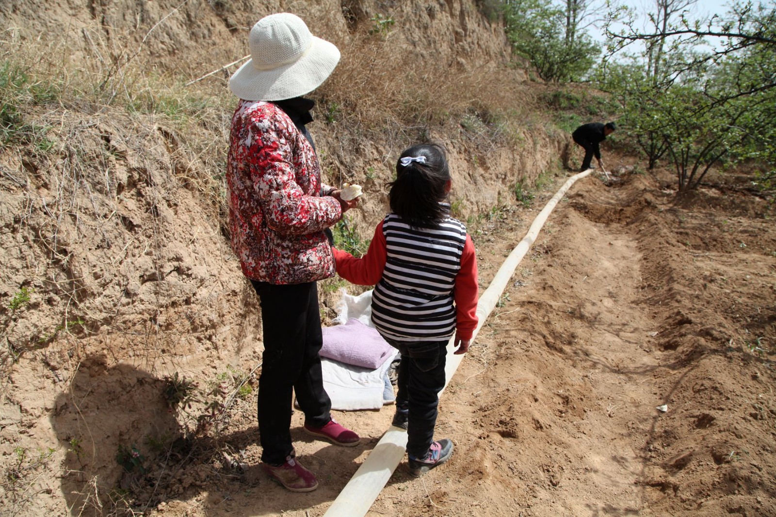阴虱是什么原因得的知乎,阴虱为啥会出现