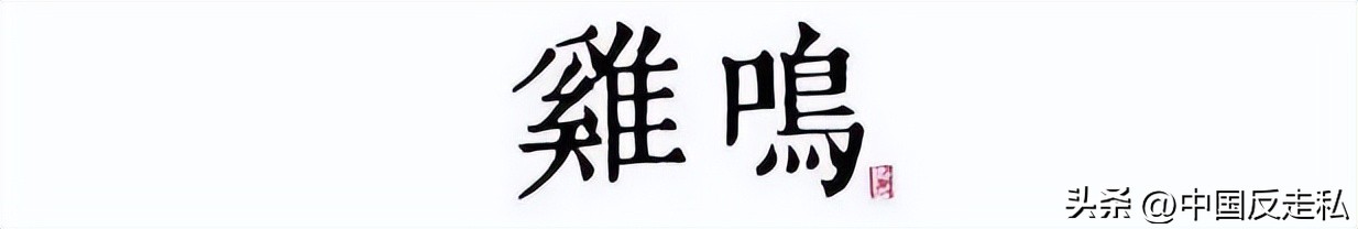 湛江海关缉私局走私最新新闻,湛江海关缉私事件