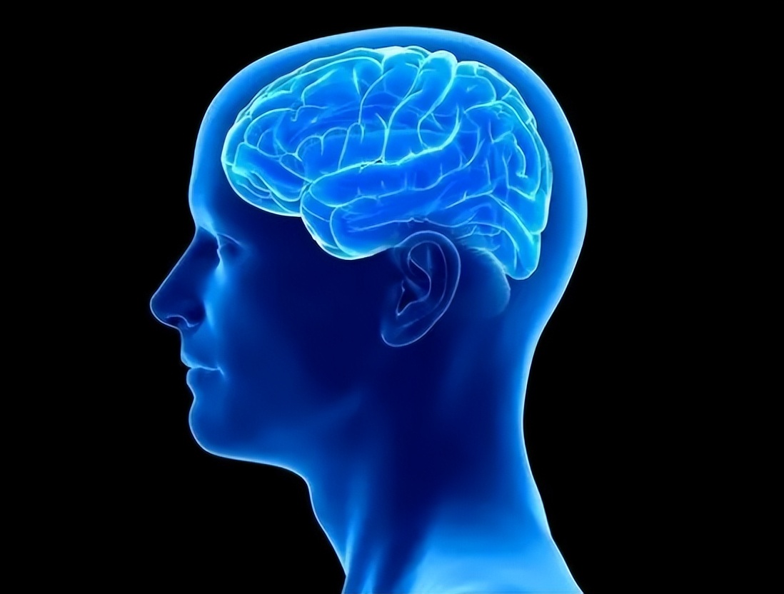 多吃肉对身体的危害数据,关于吃肉健康小知识