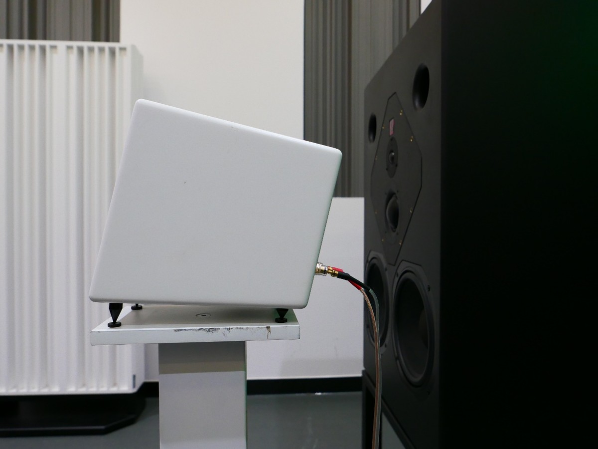 蓦然间,木已成林——探班深圳双木三林