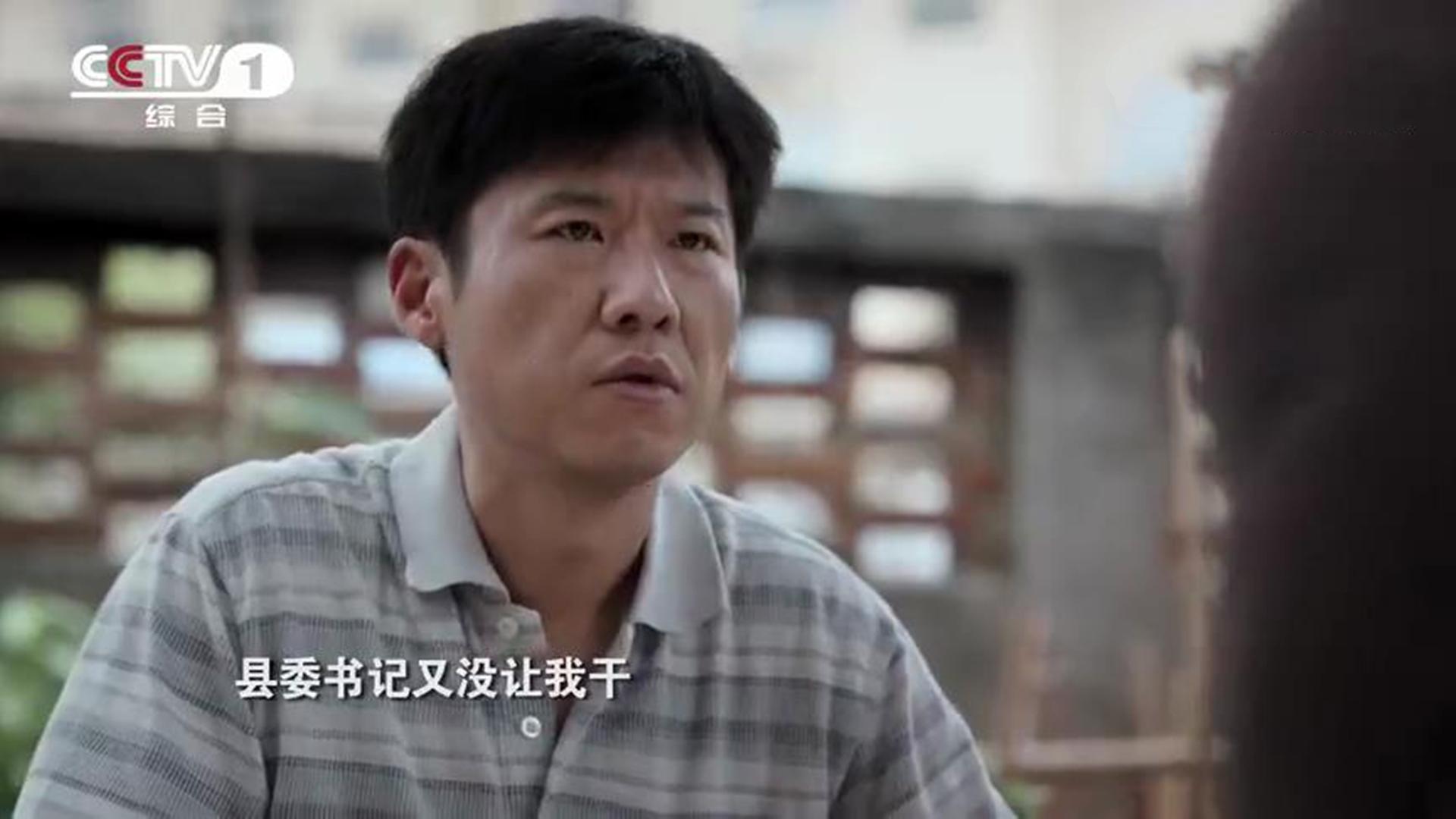 县委大院电视剧央视直播,央视县委大院最新预告