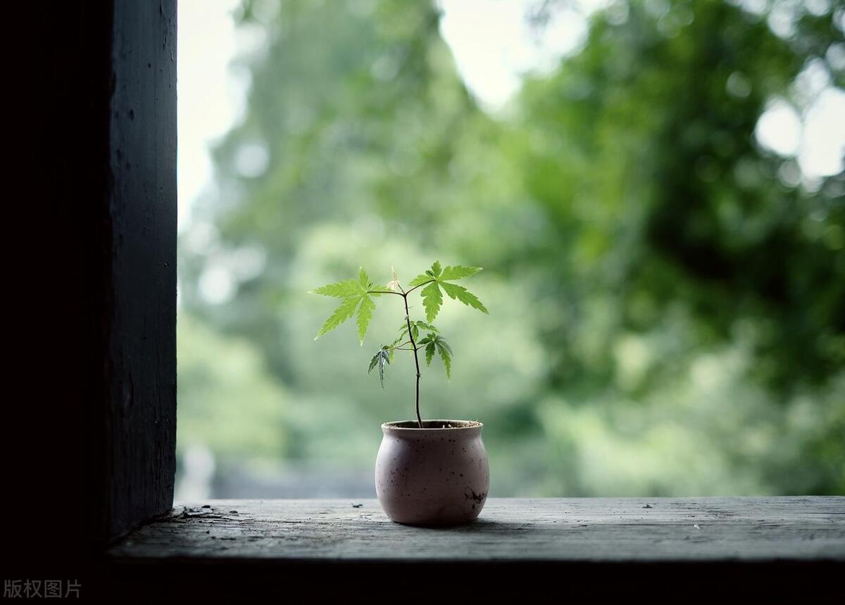 当你家有这3样旧东西,一定要清理掉,清理了,生活更自在