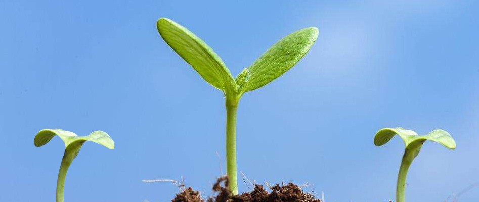 了解行业赚钱方式,了解创业的基本思路