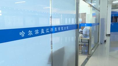 创业在龙江|陈存广：科技创业“盈”在龙江