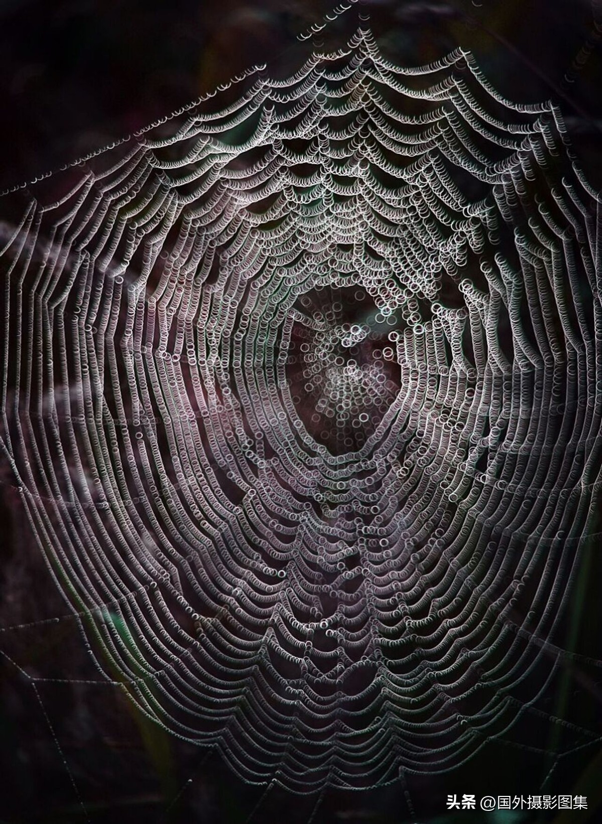 秋天最美大自然图片,春天最美的三十六张照片