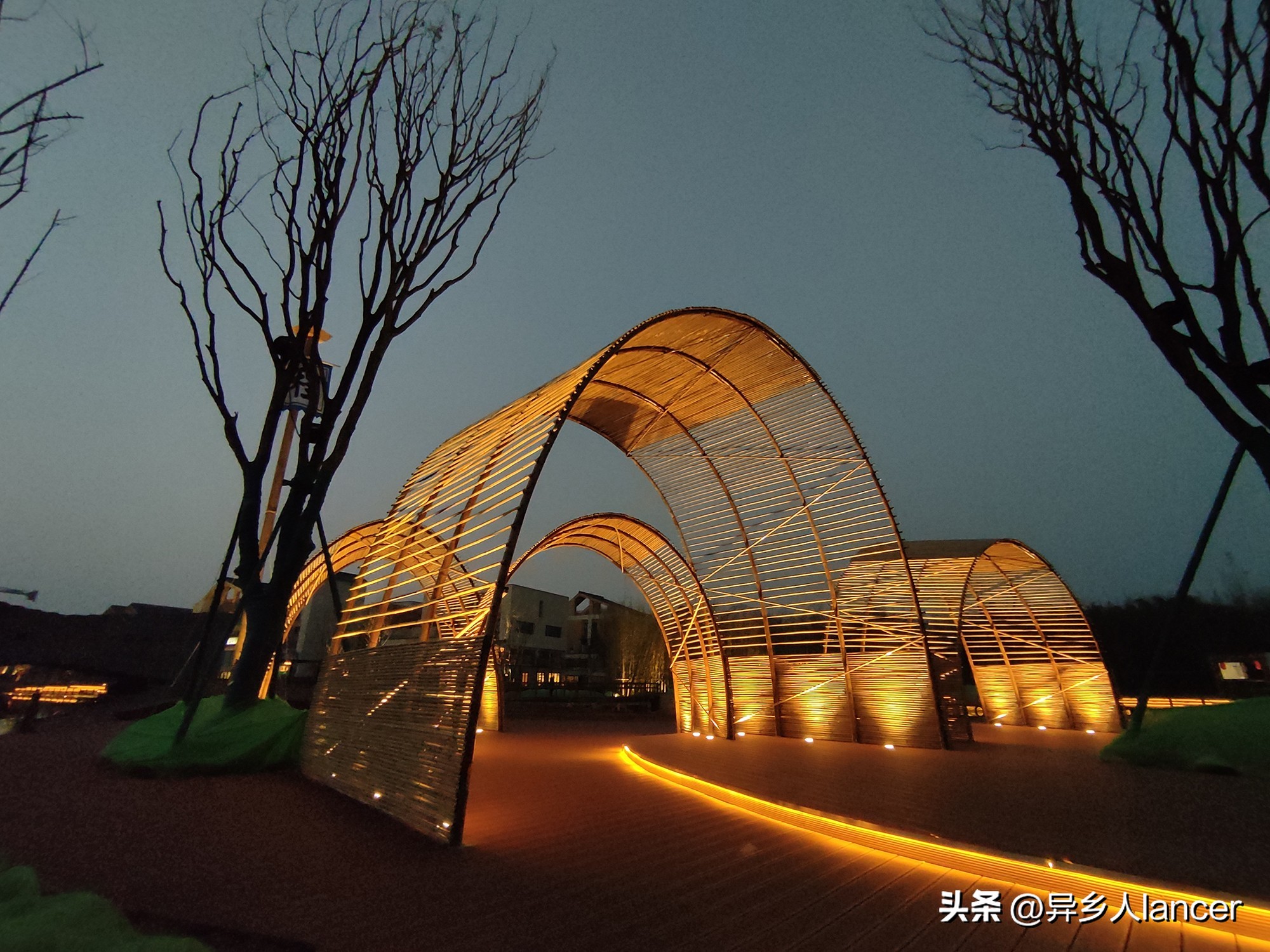 家庭农场：是否能成为乡村致富的新风口？