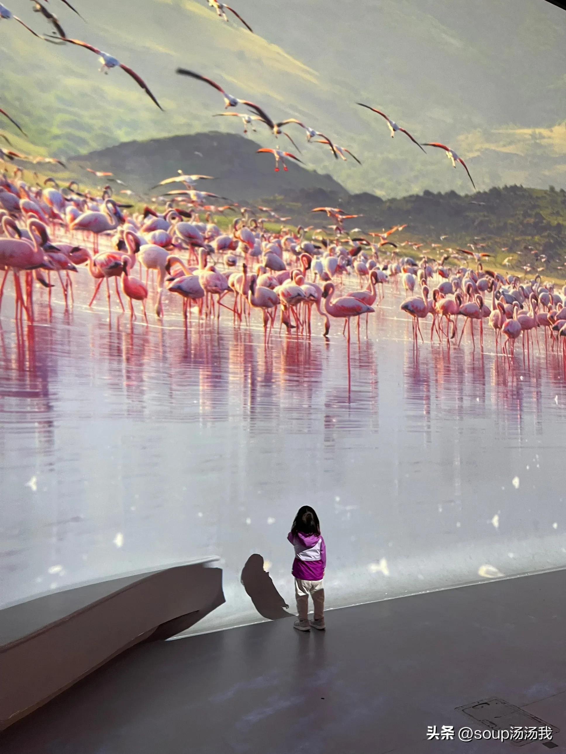 中美差异：在美国kindergarten不是幼儿园preschool不是学前教育