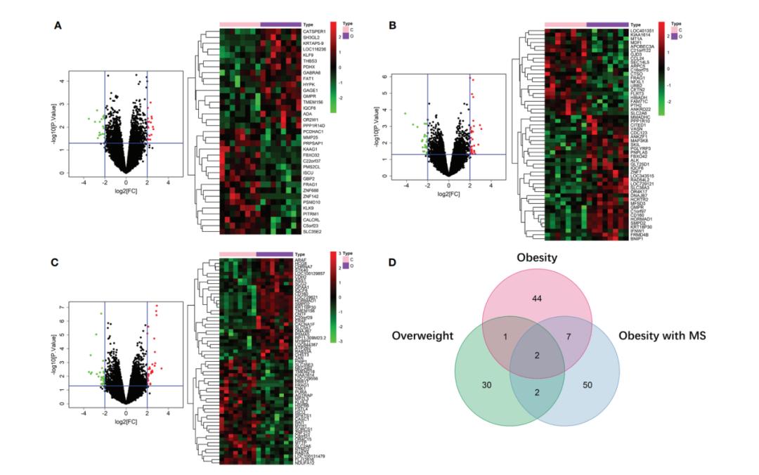 sci论文化繁为简,sci速成手把手教你写