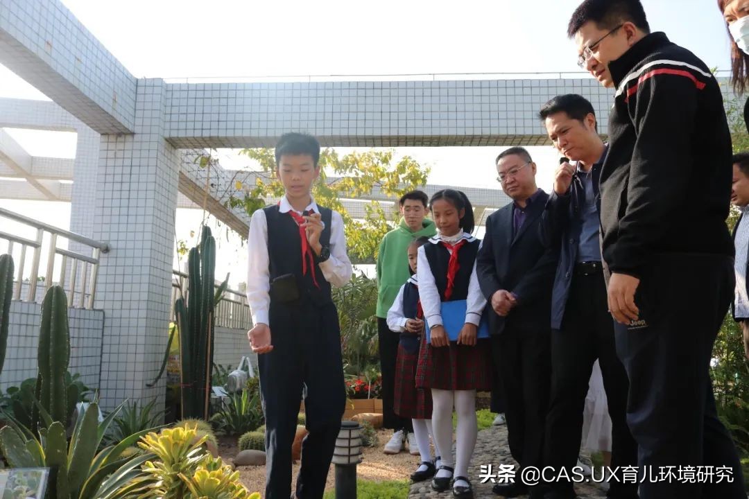 CAS儿童空间|生命花园:在校园屋顶打造感知自然的实验场