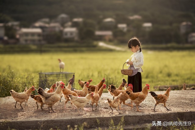 祖籍和籍贯有什么区别,籍贯的籍和贯有什么区别