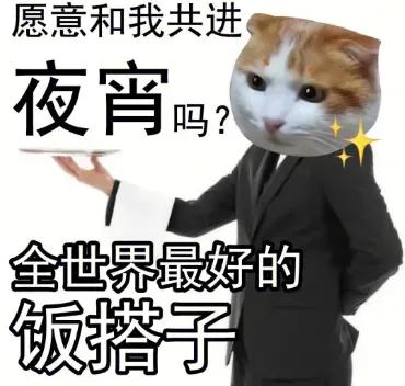 搭伴伙伴用英语怎么说,找饭搭子用英文怎么说