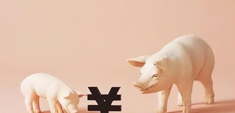 正邦21年负债率,双胞胎接手正邦会出现破产吗