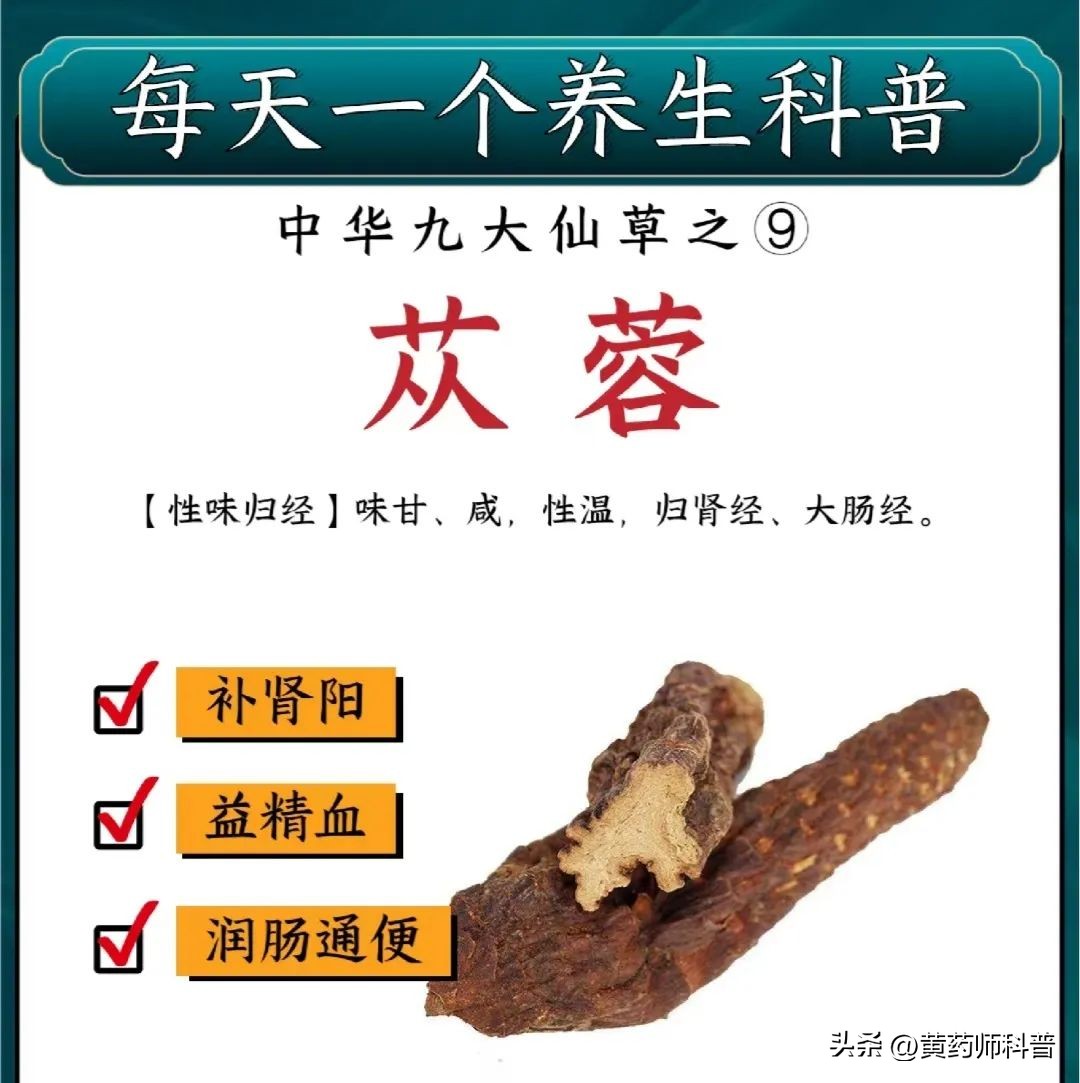 九大仙草哪个药用价值最高,中草药鬼针草的药用价值