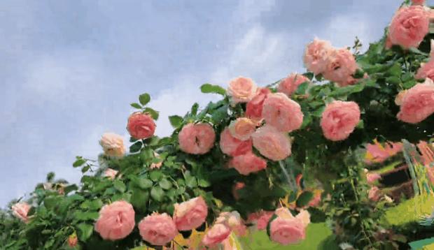 广州五一文旅活动,五一去广州哪里旅游比较好