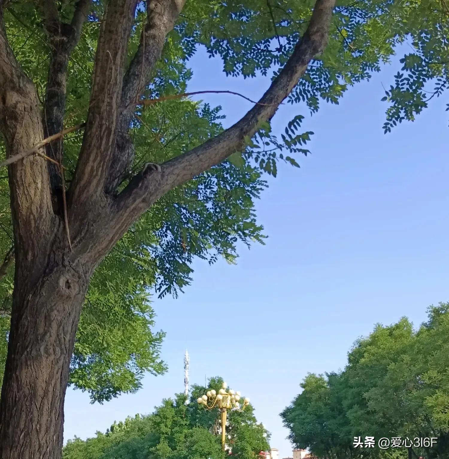 换码科技靠谱吗,换码科技骗人吗