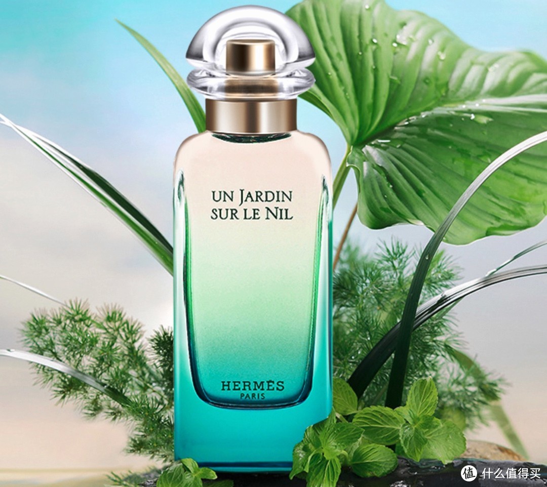 夏天到了香水准备好了吗,夏天到了都有什么烦恼
