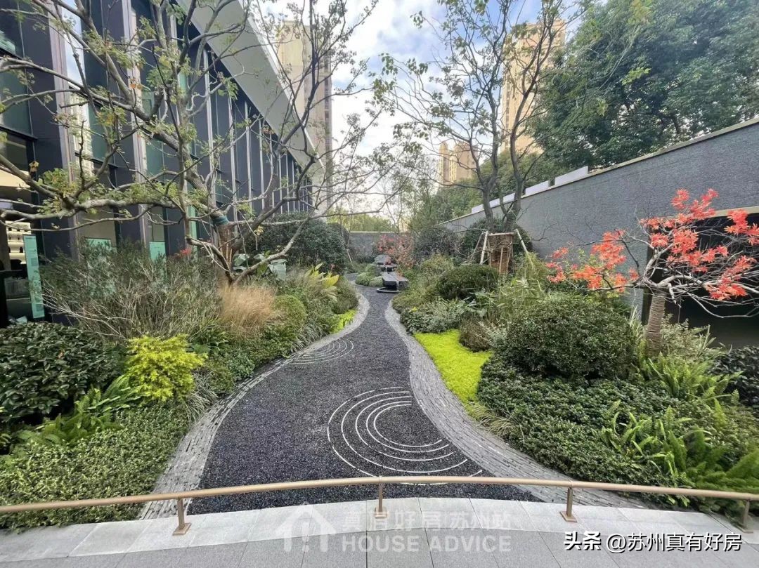 逢开必罄！中签率不超11%！实探神盘永旺西的真实面貌