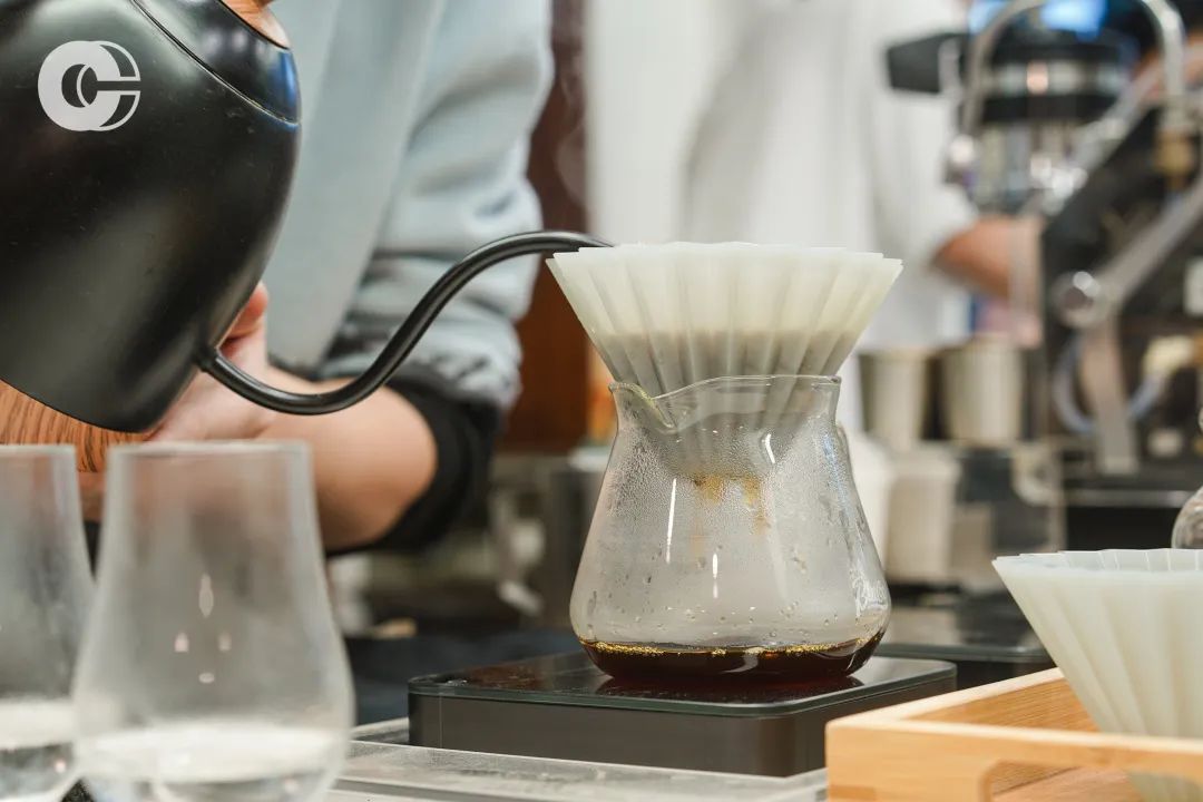 谁说秋天只有萧瑟,谁说秋天只有橘色和红色