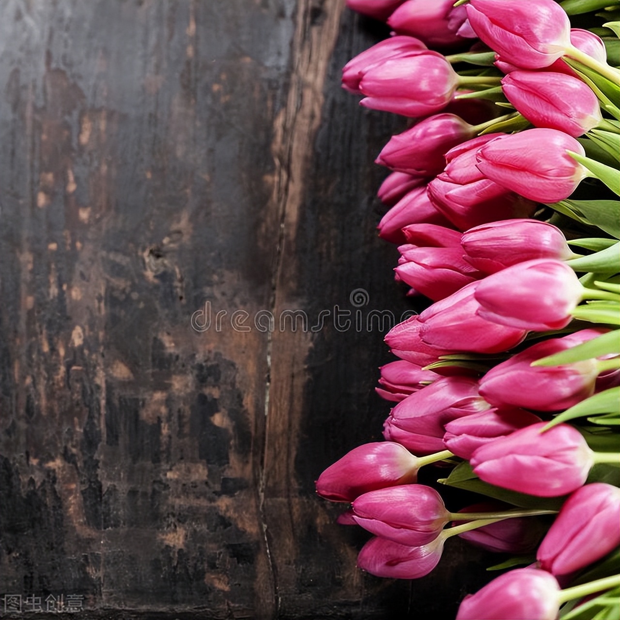 今日足球竞彩推荐基尔vs德累斯顿,今日足球竞彩推荐德岛清水