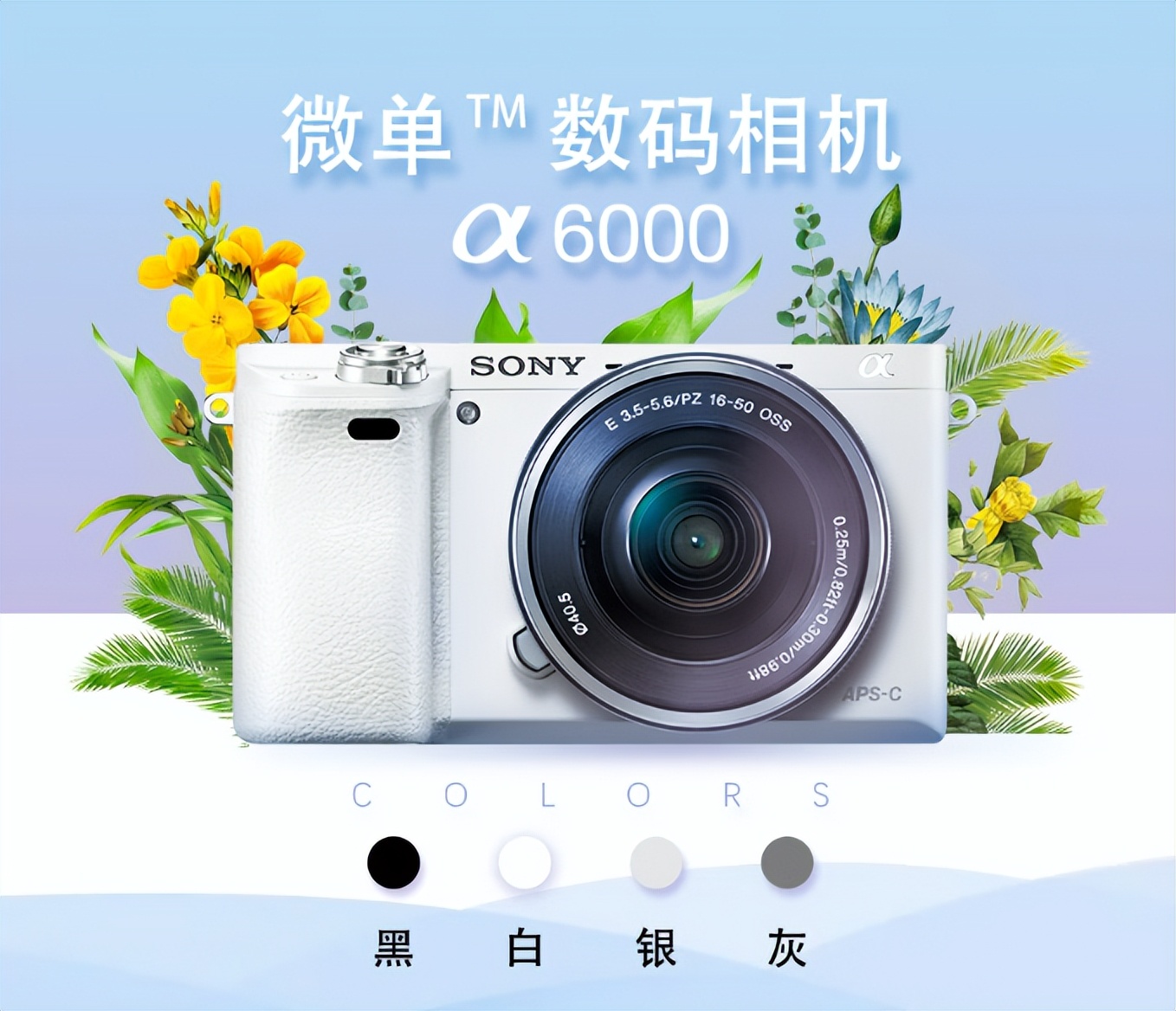 不花冤枉钱买正品,不花冤枉钱最实惠的商品推荐