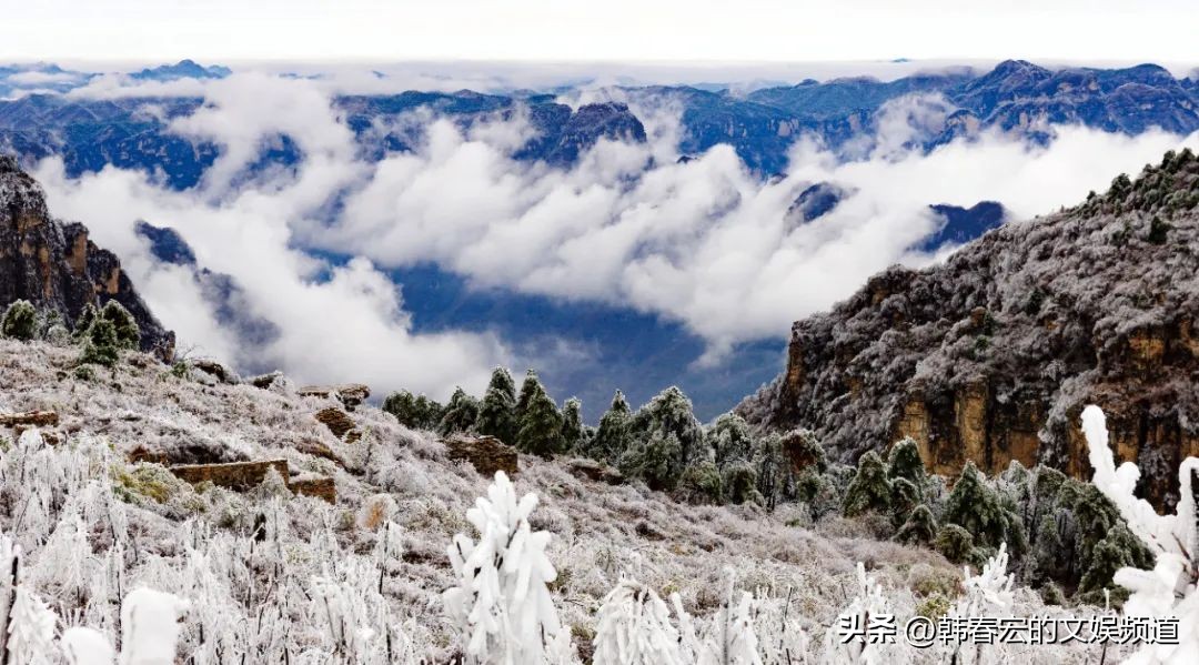 云赏美景,王莽岭美景