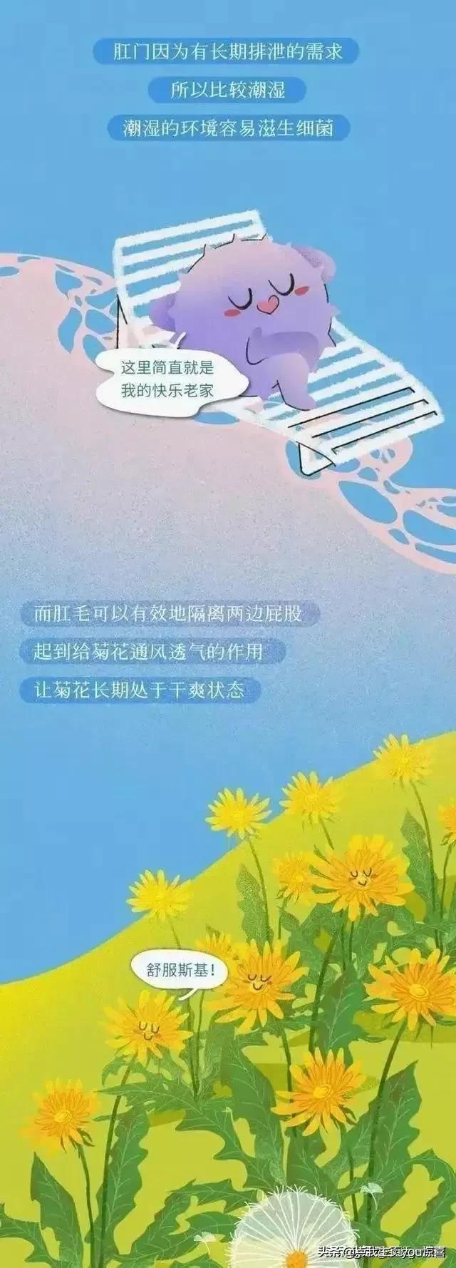 为什么肛门周围也会长“毛”？如果刮掉会怎样？（漫画）
