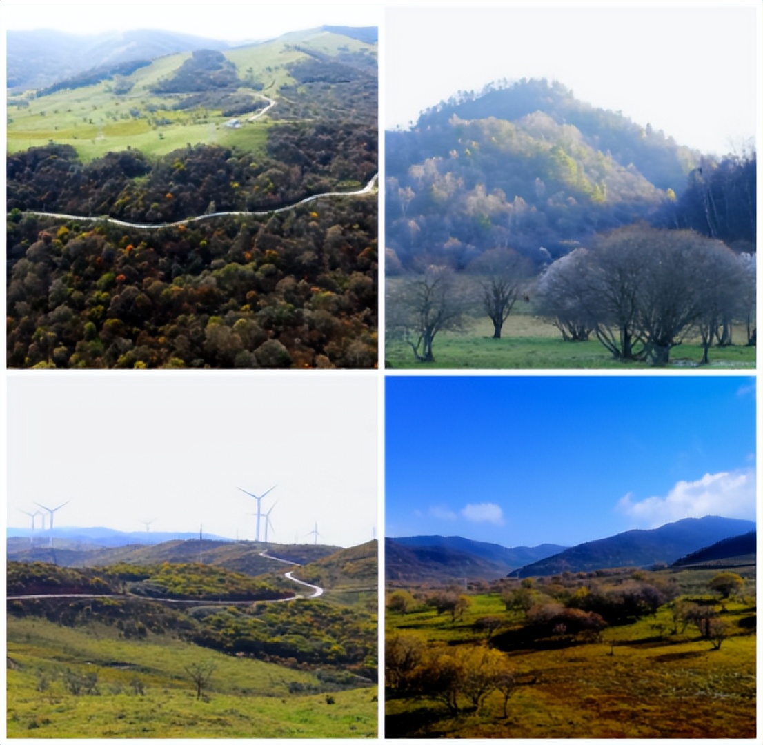 天水旅游攻略夏天去哪玩,千山万水天水