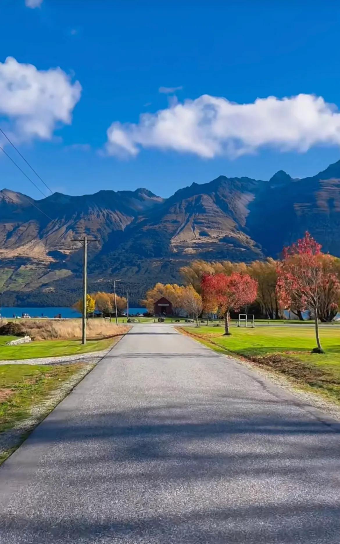 在新西兰会感到孤独吗,最孤独的国家新西兰