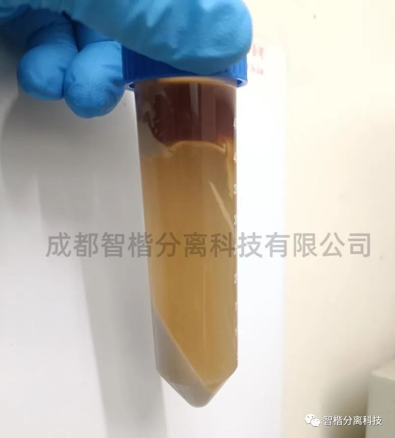 创新无限|参观智楷实验室，领略科技的无限可能