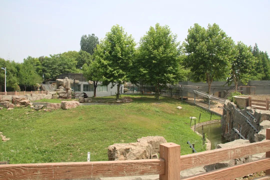 淮安动物园位置,淮安动物园多大面积