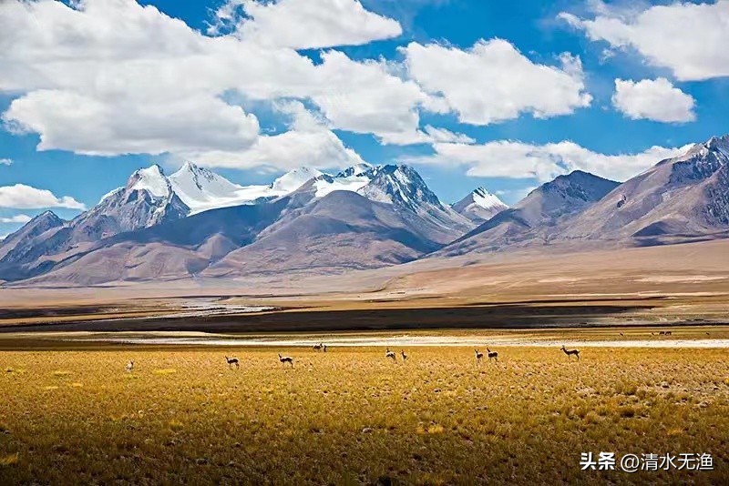 西藏那曲最荒凉的地方,请恕我直言