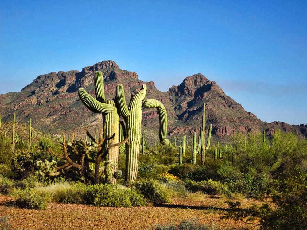 50个旅行冷知识你中枪了几个,世界时间最短的航班体验