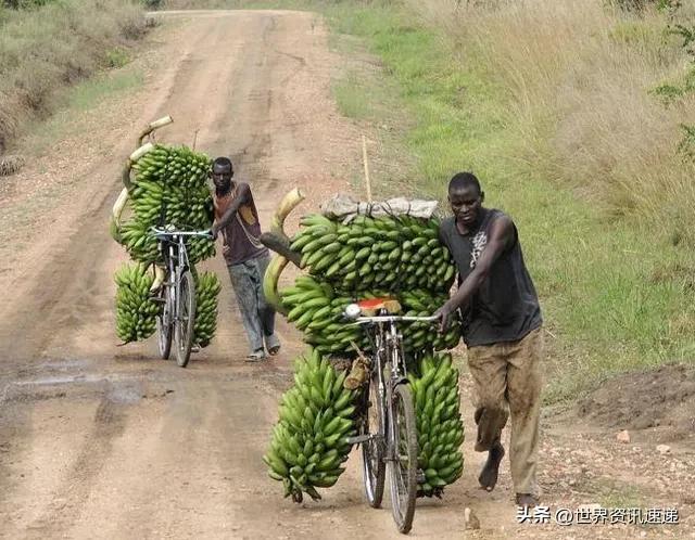 有辆自行车就是土豪，一把锄头就是彩礼：非洲国家布隆迪