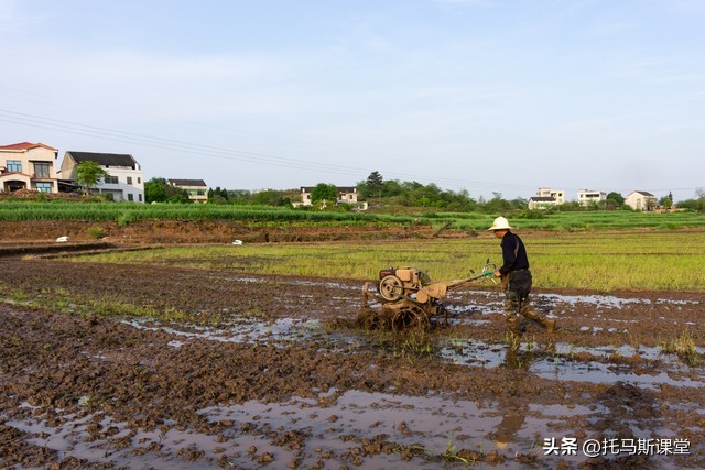 耕地可以自由买卖吗,农田买卖新政策解读最新